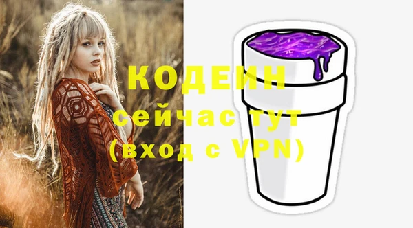 молекула духа Арсеньев
