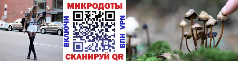сколько стоит  Нарткала  Псилоцибиновые грибы MAGIC MUSHROOMS 