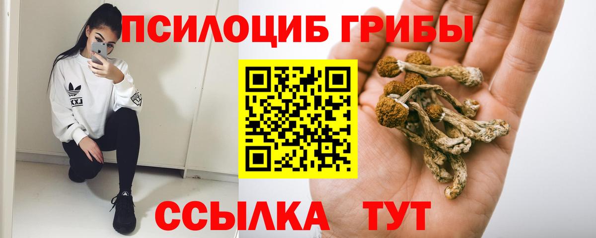 Нарткала  Галлюциногенные грибы Cubensis  Вход с VPN 