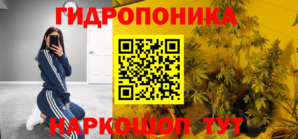 Нарткала  Каннабис гибрид  МАРИХУАНА план  Конопля семена  Марихуана планчик  Вход с VPN 